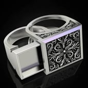 Compartment ring - blog image