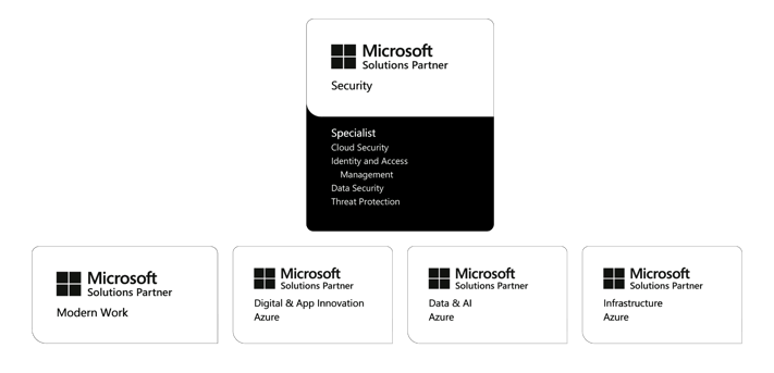 Microsoft solutions partner (2)