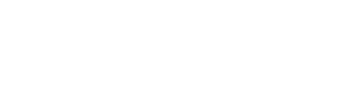 MIcrosoft solutions partner white